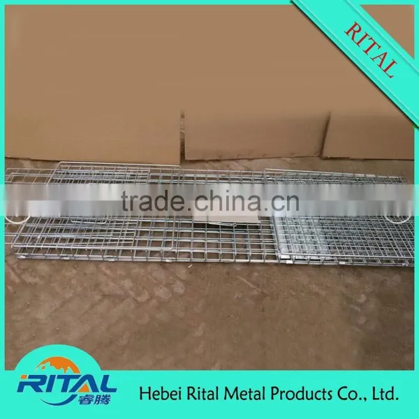 Galvanized Raccoon Cage Traps for Raccoon Trapping photo-4