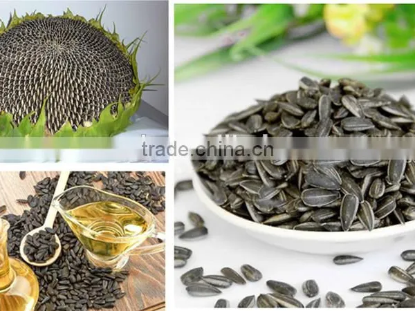 Neweek Supply 3 Shafts Oil Sunflower Seed Shelling Machine photo-4