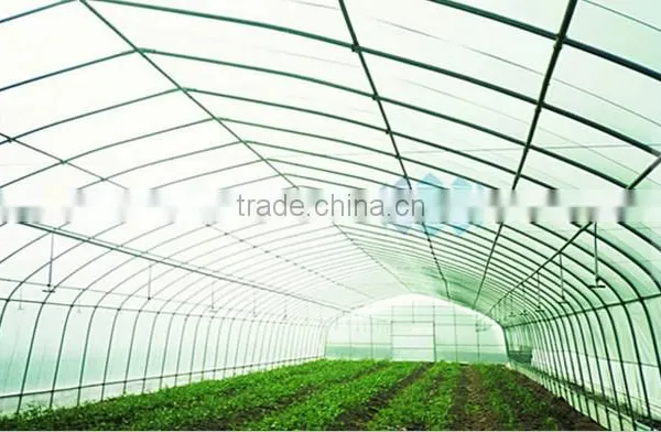Single Span Film Tunnel Greenhouse photo-3