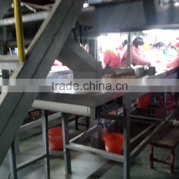 Peanut Sorting Machine, Ground Nut Sorting Machine photo-3
