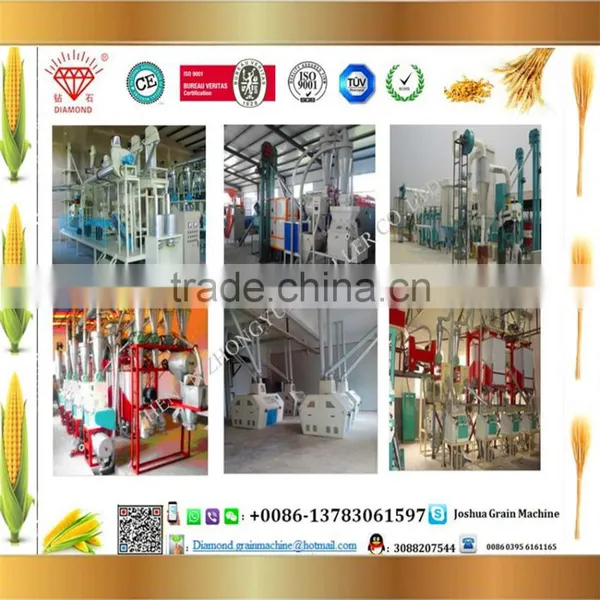 Factory Direct Supply 50 T/Day Maize Flour Machine Maize Milling Machine photo-5