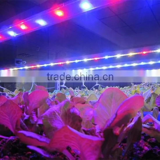 MarsHydro LED Lights Full Spectrum LED Grow Light Hydroponics Grow System LED Grow Light Grow Bar Factroy Wholesales
