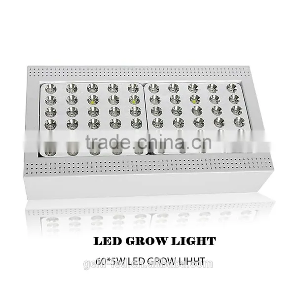 Low Price High Power Cidly Grow Leds From Shenzhen Factory photo-2
