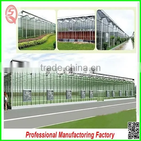 Durable Aluminium Profiles Venlo Polycarbonate Green House With High Quality and Best Service photo-6
