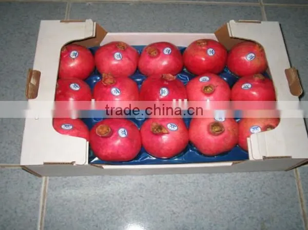 Safety Protection Plastic Alveolar PP Fruit Packing Tray photo-2