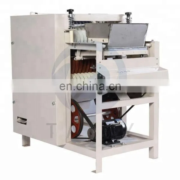 Taizy High Efficient Wet Type Almond Monkey Nut Blanching Peanut Red Skin Peeler Peanut Peeling Machine Price photo-5
