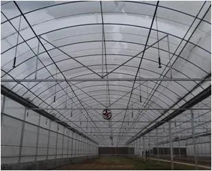 Multispan Double-Layer Air Inflated Plastic Film Greenhouse photo-2