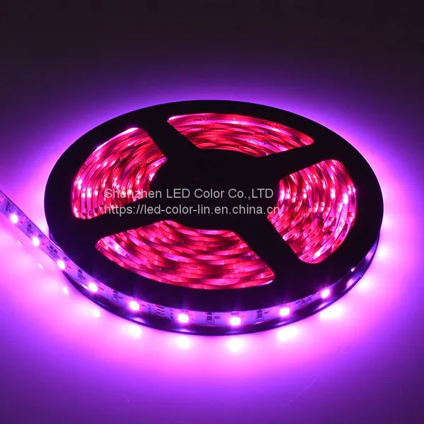 RGB Dream Color Smd 3528 LED Strip Glue Waterproof DC12V Led Strip photo-2