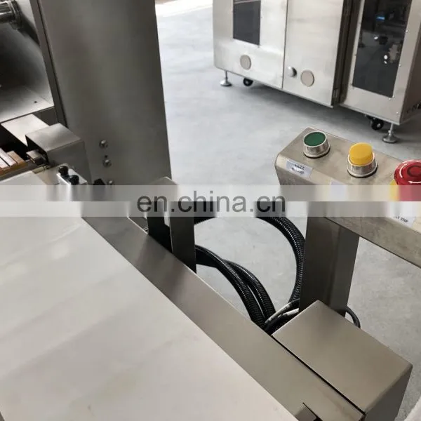 Frozen Food Dumplings Buns Hamburgers Mochi Automatic Flow Wrapper Pillow Packing Machine photo-4