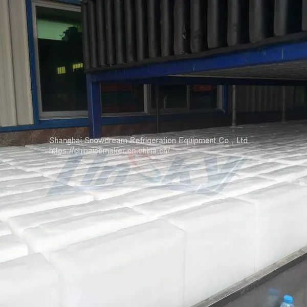 25Ton/24hr Block Ice Machine photo-4