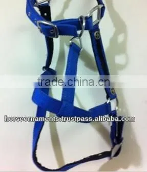PP Halter