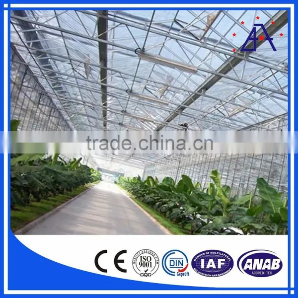 China Manufacturer Aluminium Profiles for Greenhouse photo-6