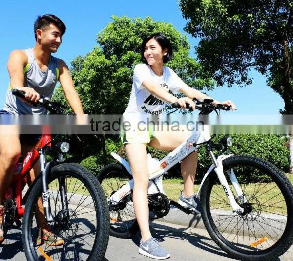 Haoling Seagull 48v 500w Electric Bike , Electric Bike 500w photo-4