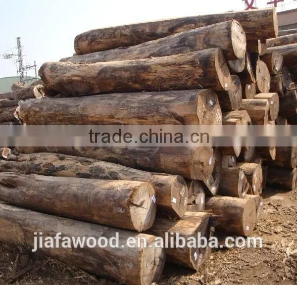 White Birch Logs, Baltic Birch Logs, Latvia Birch Logs Quality Choice