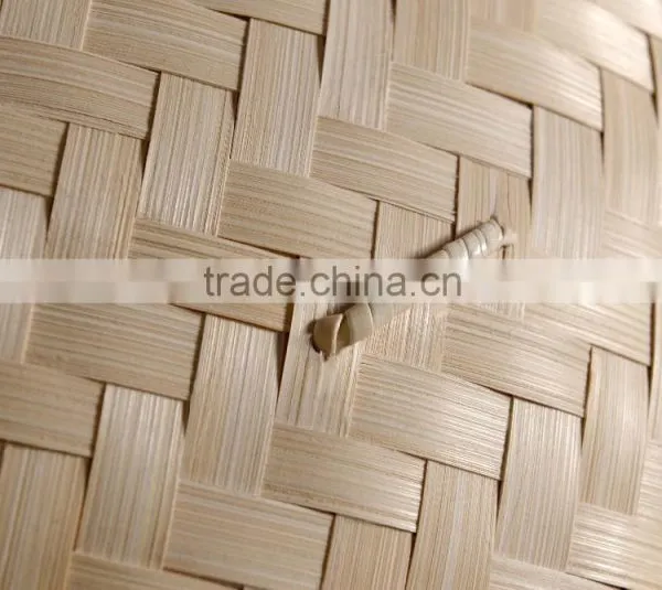 Wholesale Printing Corn Dumpling Steamer Sushi photo-3