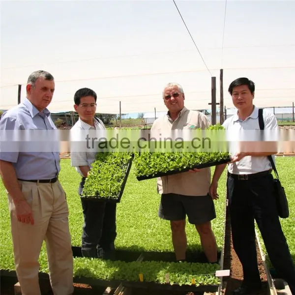 SAP for Agriculture photo-4