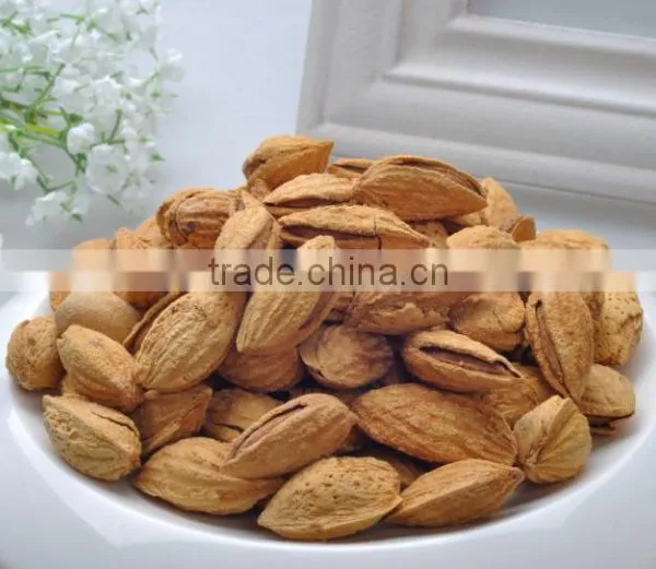 Chinese Badam Almond in Shell With QS Standard photo-2
