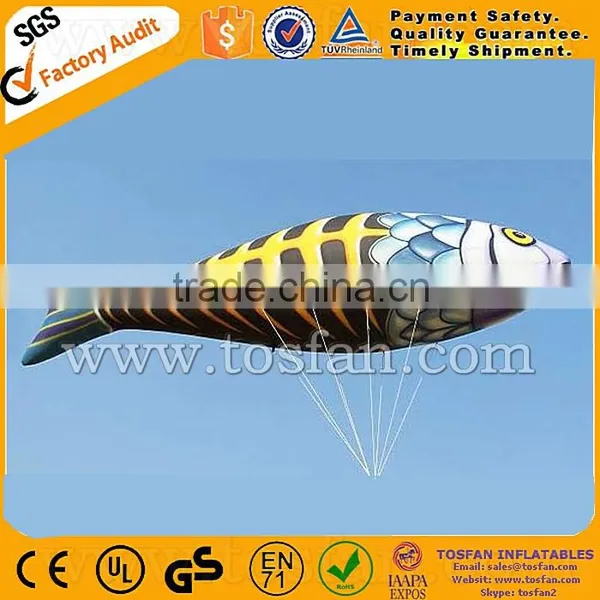 Advertising Helium Balloon Inflatable Good Price F2005 photo-4