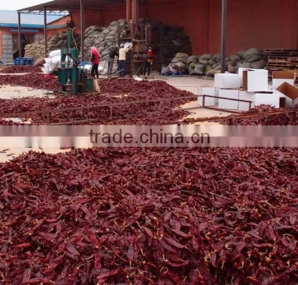 Paprika Pods photo-2