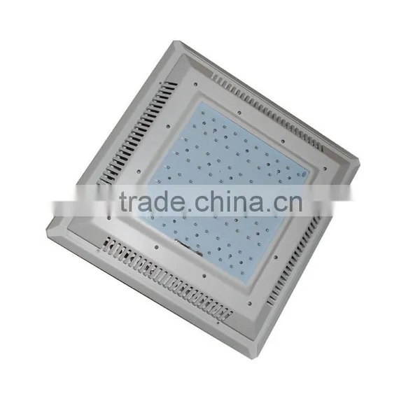 Latest Technology LED Explosion Proof Lamp photo-2