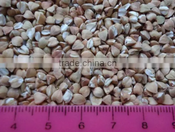Green Buckwheat photo-2