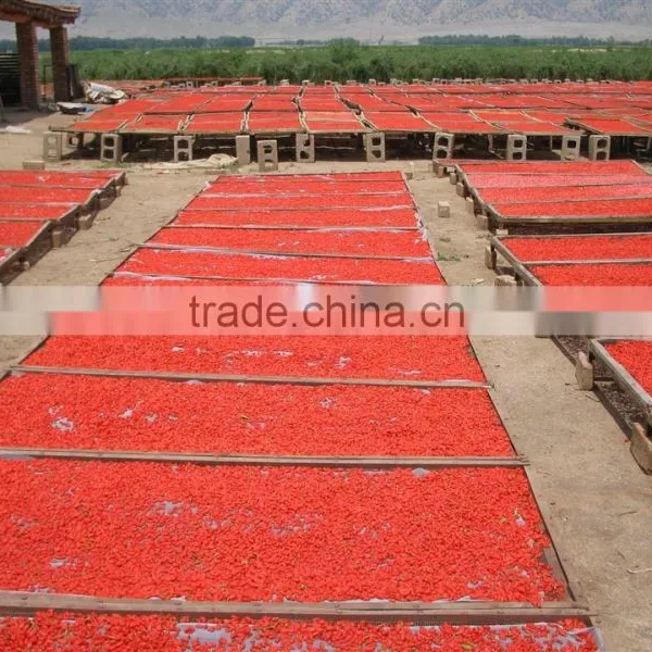 Dried Goji Berry photo-3