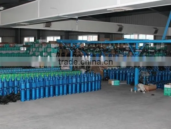 Factory Price Manufacturer 10 Years Clean and Sewage Water Submersible Pump photo-3