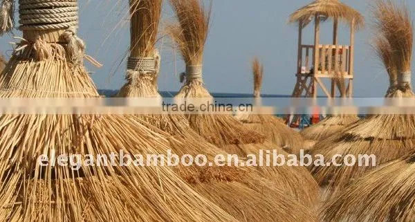 Thatch grass panel