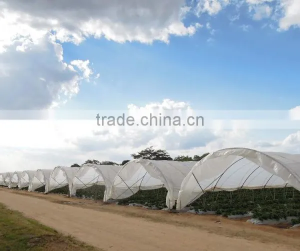 RoughBrothers Tunnel-600 Single Span Low Cost Agricultural Tunnel Greenhouse