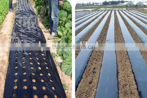 Agriculture Suage Silver Black Mulch Film photo-2