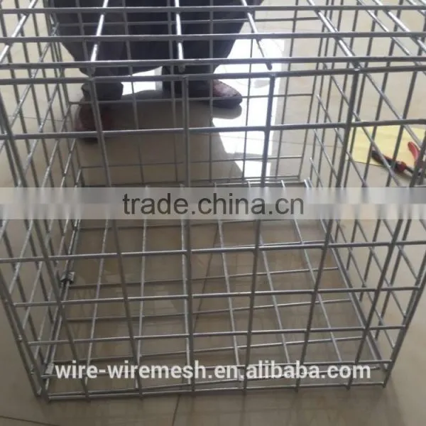 Mexico Market Galvanized Gabion Mesh photo-6