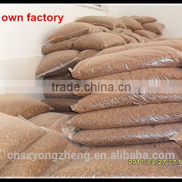 Chicken Farms Like Poultry Feed Dried Mealworms photo-5