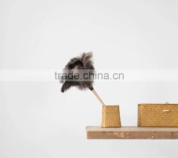 Factory Cheap Duster 50cm Ostrich Feather Duster photo-2