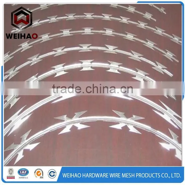 .com Hot Selling in India Barbed Wire With Keen-edged Razor photo-3