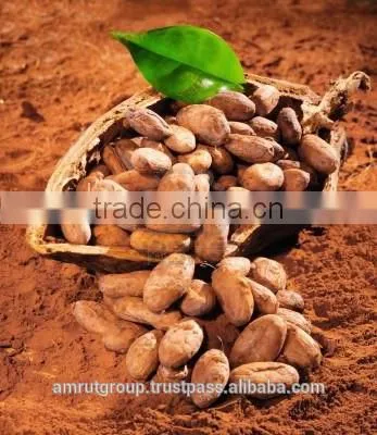Alkalized Cocoa Powder photo-6