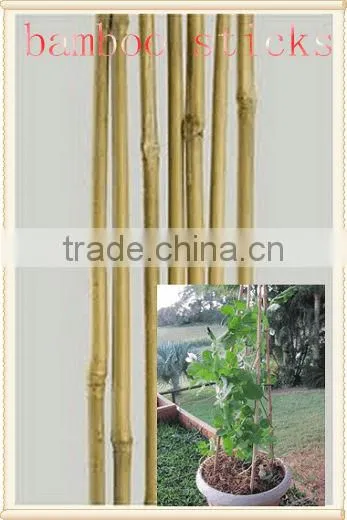 Dyed Beautiful Colors Nature Bamboo Flower Sticks,bamboo Garden Sticks for Agriculture /decoration/garden photo-2
