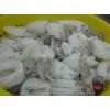 Sell Cuttlefish (India)