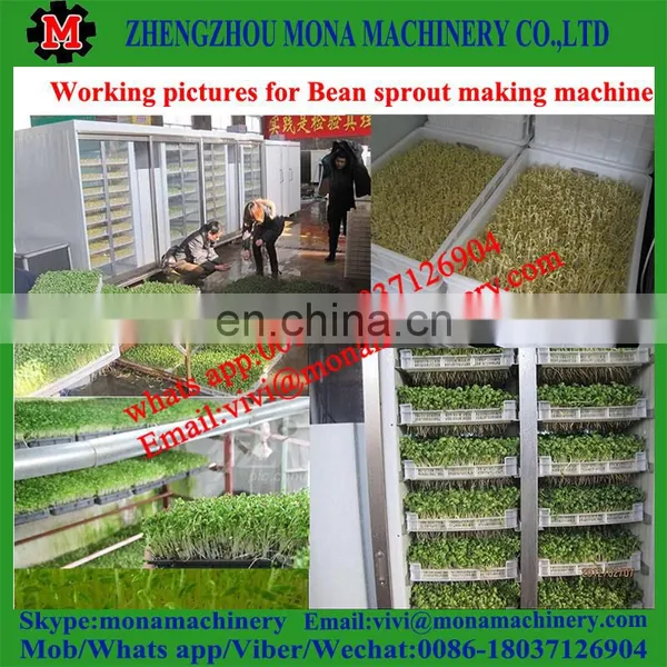 Commercial Mung Bean Sprout Growing Machine / Automatic Bean Sprout Machine Price photo-3