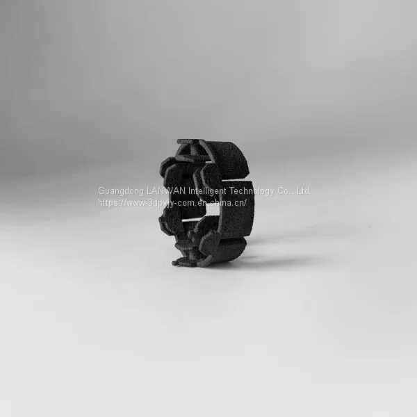 Wholesale Resin 3d Print 3d Printed Ring for Decoration photo-4