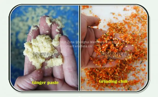 Electric Garlic Ginger Crusher Fruit and Vegetable Chopping Machine photo-4