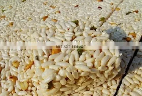 Cereal Bar Forming Making Machine Processing Line photo-6