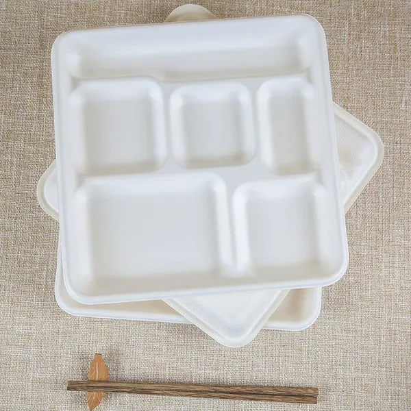 Fully Degradable Bagasse Food Tray