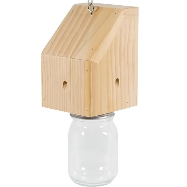 Insect Traps photo-2