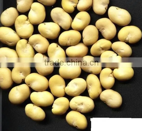 Peeled Green Broad Beans Frozen photo-3