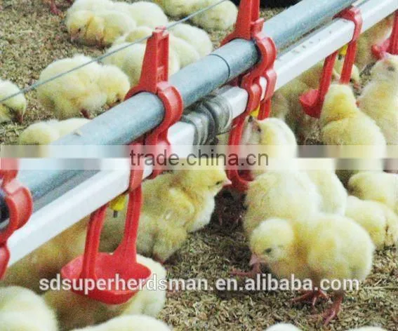 Poultry Equipments for Broilers and Breeders photo-2