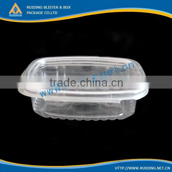 Disposable Blueberry Boxes for Packaging