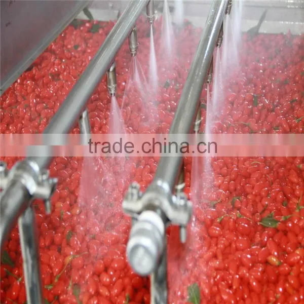 2015's New Crop Fresh and Dried Gojiberry
