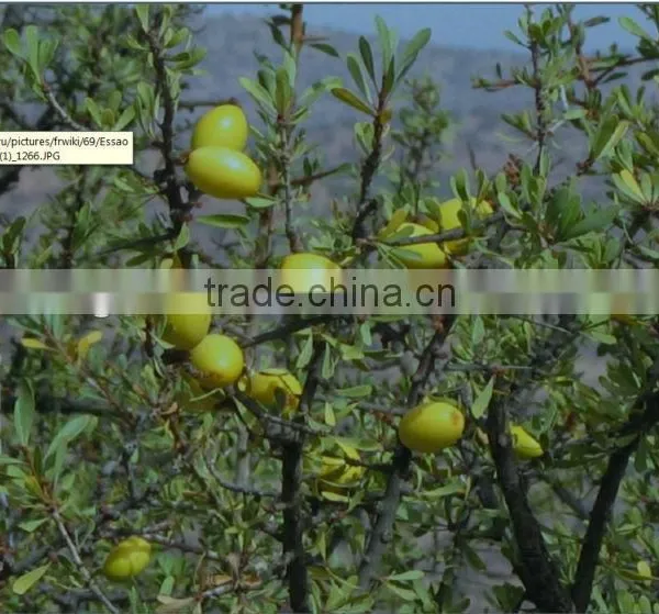 Wholesale Professional Salon Use Argan Oil Line With Great Quality and Smell,OEM/ODM IS Avaliable photo-6