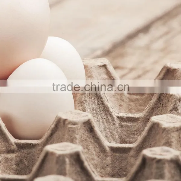 Pulp Moulding Tray and Egg Box/paper Pulp Egg Tray photo-3