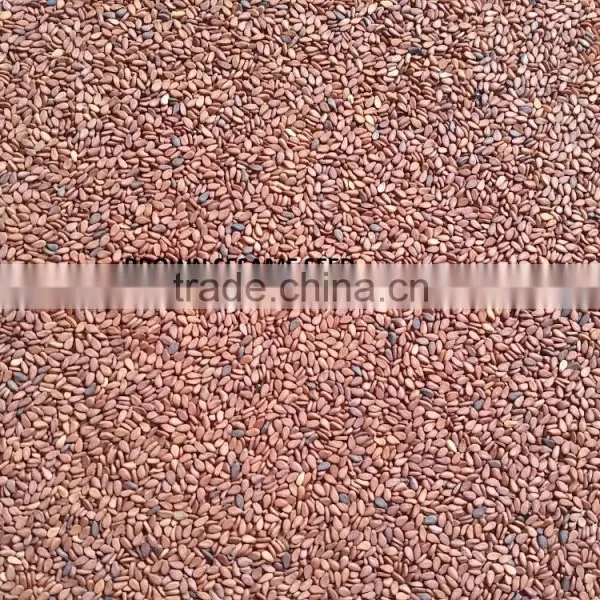 BEST QUALITY SESAME SEEDS FROM MANUFACTURER